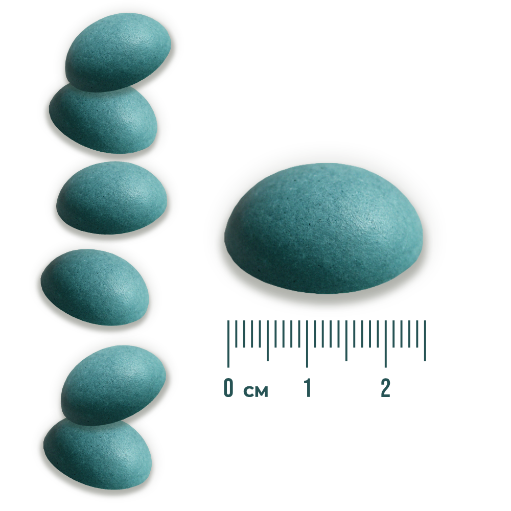 ZDROWE OWOCOWE BEZCUKIERKI LIOFILIZOWANE NIEBIESKI pol_pl_ZDROWE-OWOCOWE-BEZCUKIERKI-LIOFILIZOWANE-NIEBIESKI-40_1
