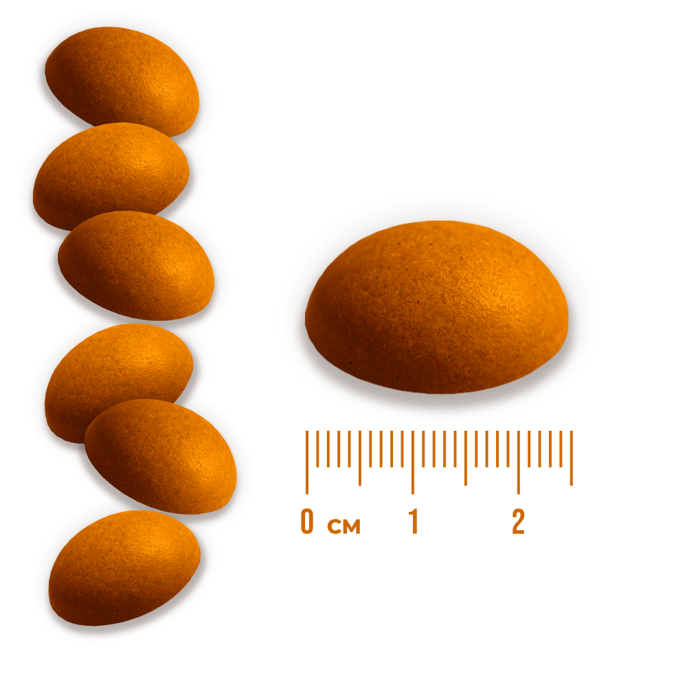 BEZCUKIERKI ZDROWE OWOCOWE - POMARAŃCZOWE - 20G pol_pl_BEZCUKIERKI-ZDROWE-OWOCOWE-POMARANCZOWE-20G-44_4