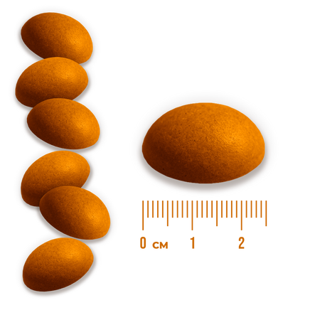 ZDROWE OWOCOWE BEZCUKIERKI LIOFILIZOWANE POMARAŃCZOWE 12g